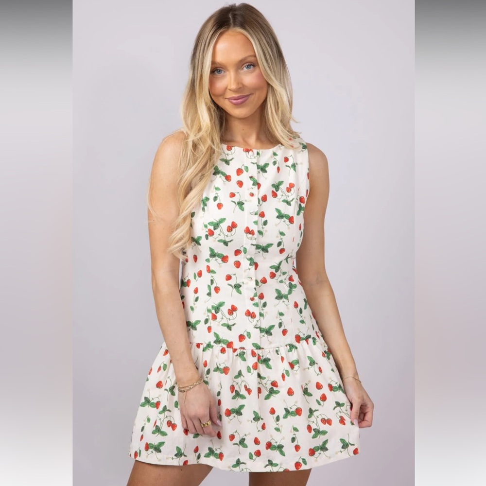 NWOT Bailey Rose Flattering Cotton Strawberry Dress